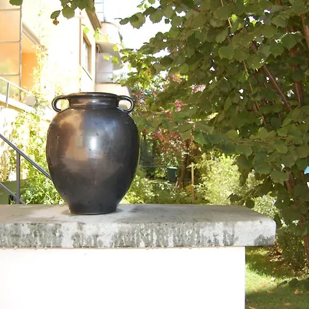 Maison Mosgenstein Апартаменты